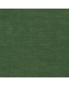 Moss