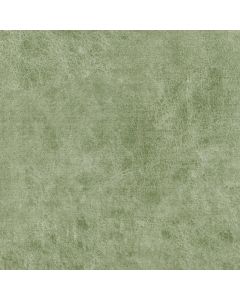 Moss