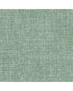 Gray Mist