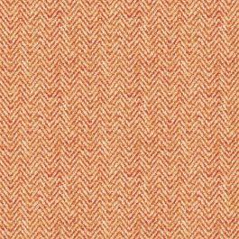 Comfort iii - Etched Script Tangerine