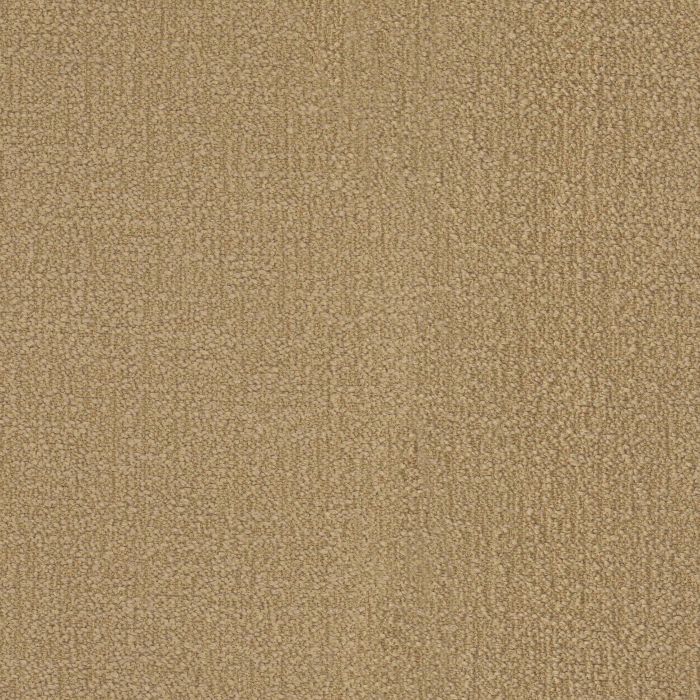 main product photo abc