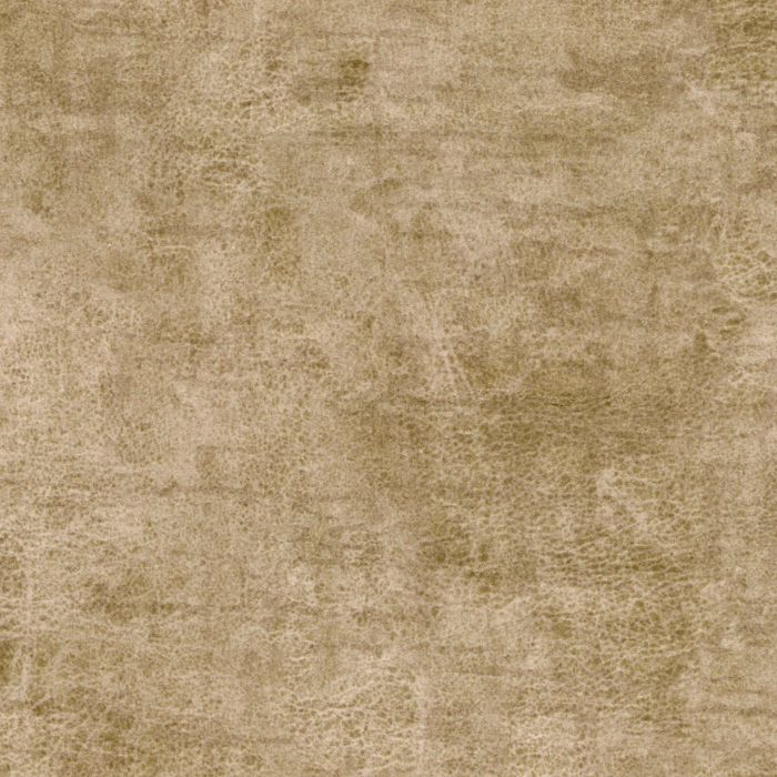 main product photo abc