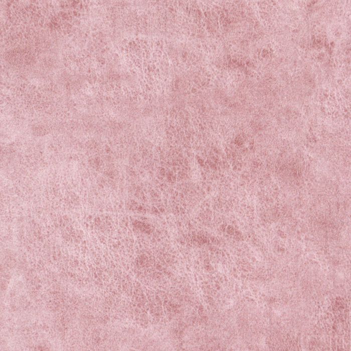 main product photo abc